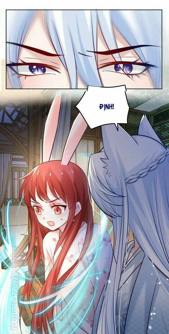 hắc hóa nam chính trực tuyến nuôi thỏ chapter 43 12