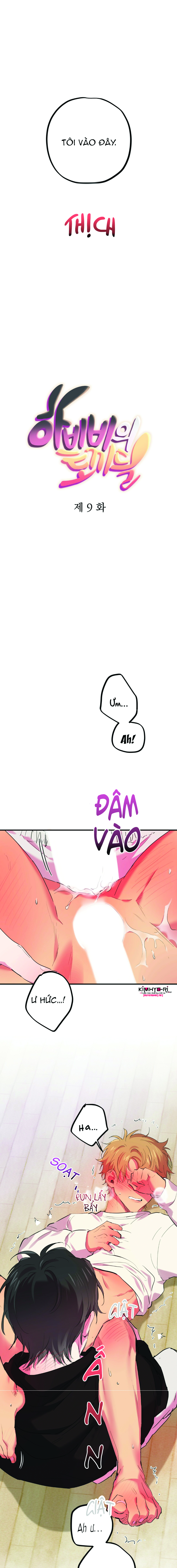 những chú thỏ của hapypy chapter 9 5