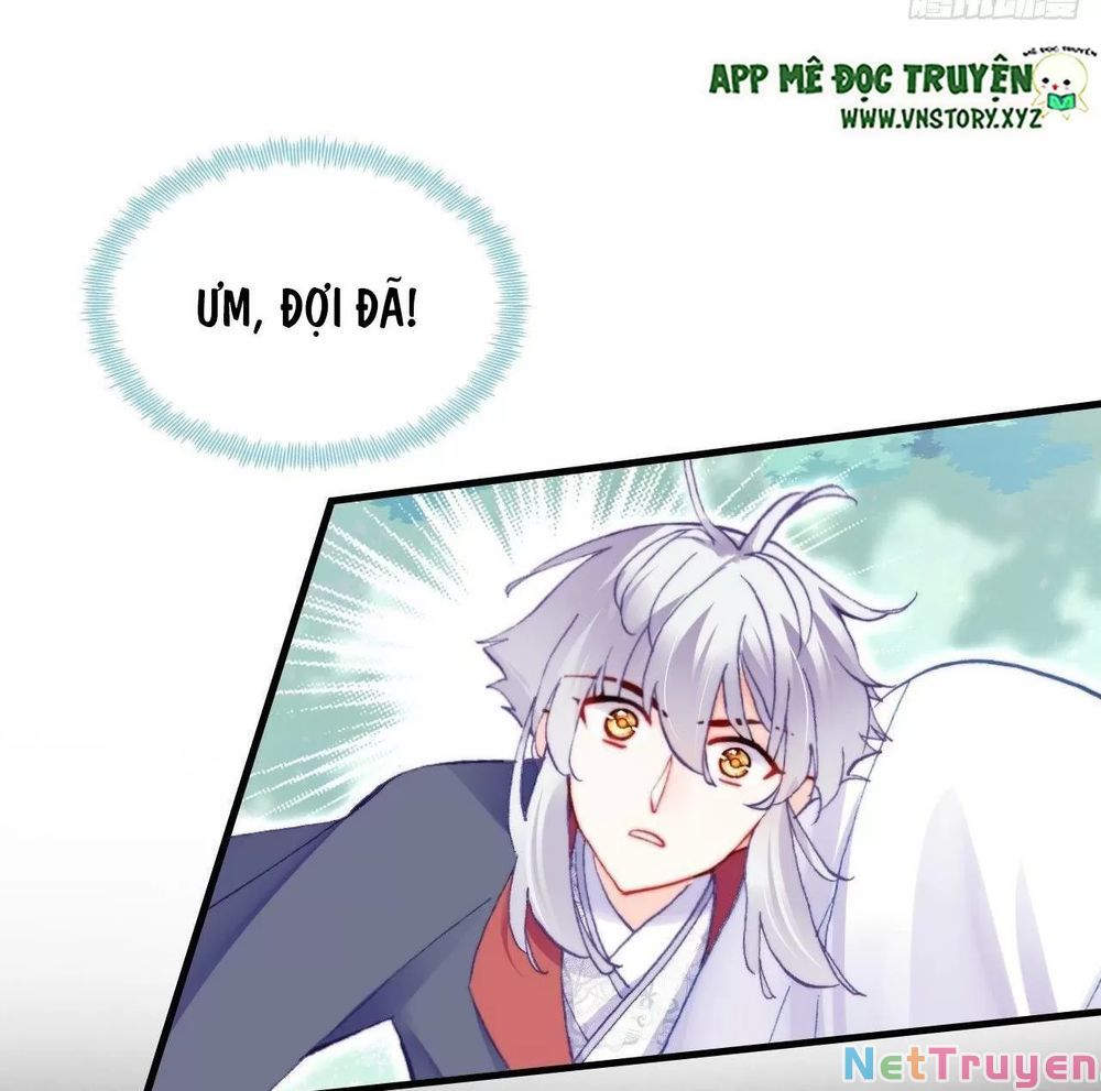 lại bị bệnh chiều chuộng quấn lấy chapter 55 34