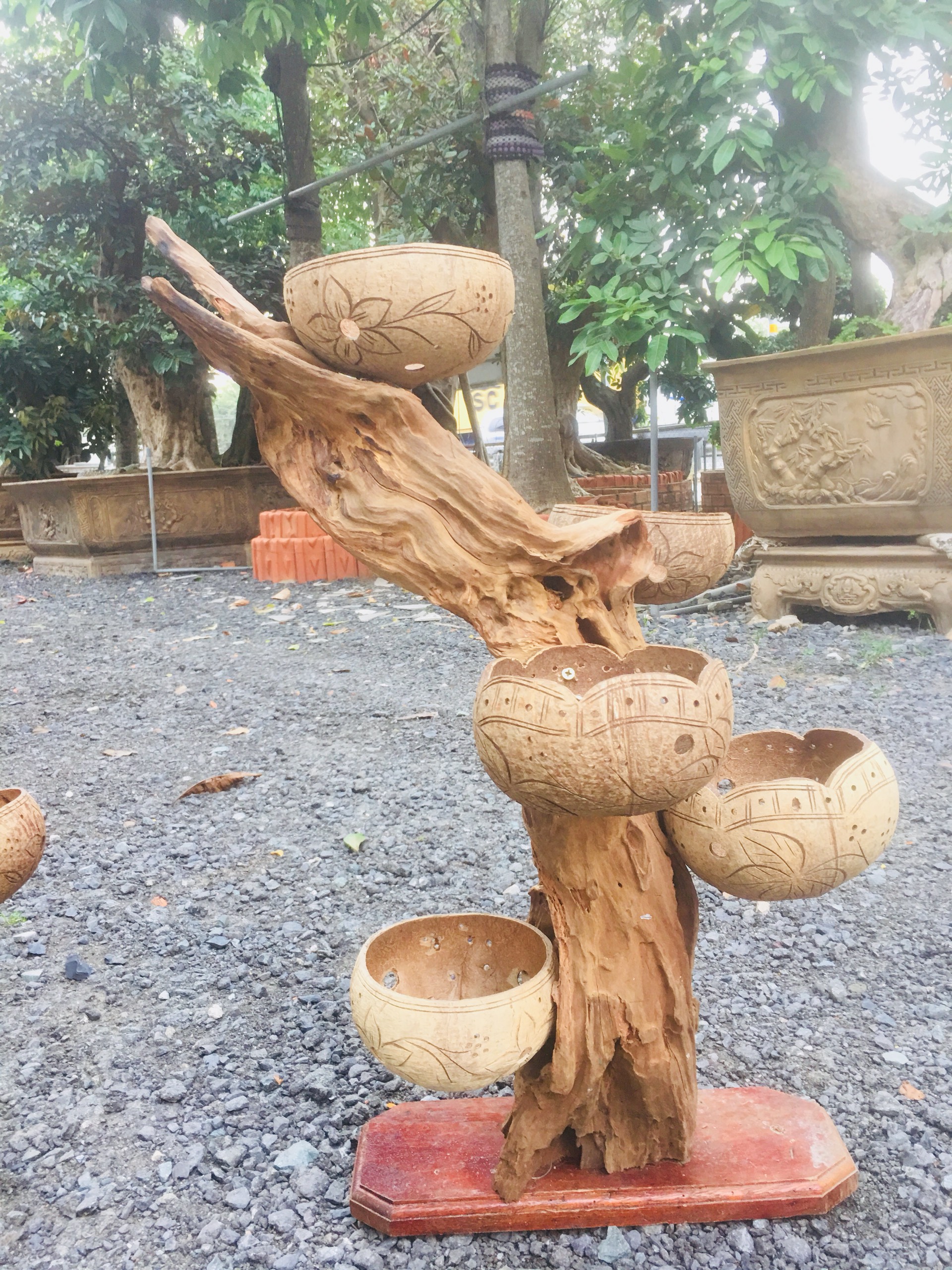 GỖ LŨA GHÉP GÁO DỪA NGHỆ THUẬT TRỒNG LAN, CÂY CẢNH TRANG TRÍ TRONG NHÀ, SÂN VƯỜN....chọn mẫu 5 gáo
