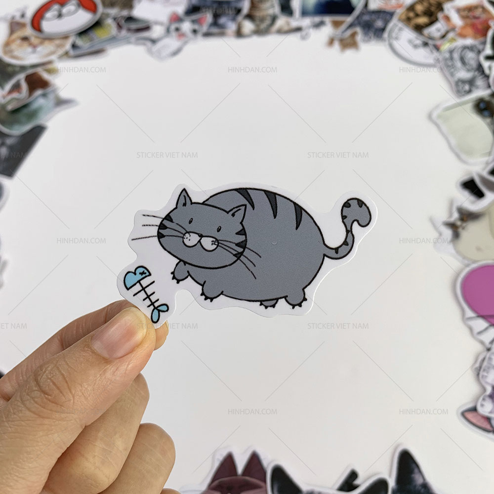 Bộ sticker chủ đề Mèo - Cat - Boss 2019, decal hình dán thú cưng  chống nước, trang trí nón bảo hiểm, điện thoại, lap top