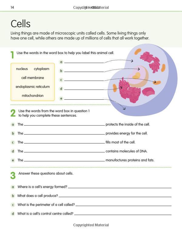 How To Be Good At Science, Technology &amp; Engineering Workbook 2, Ages 11-14 (Key Stage 3): The Simplest-ever Visual Workbook