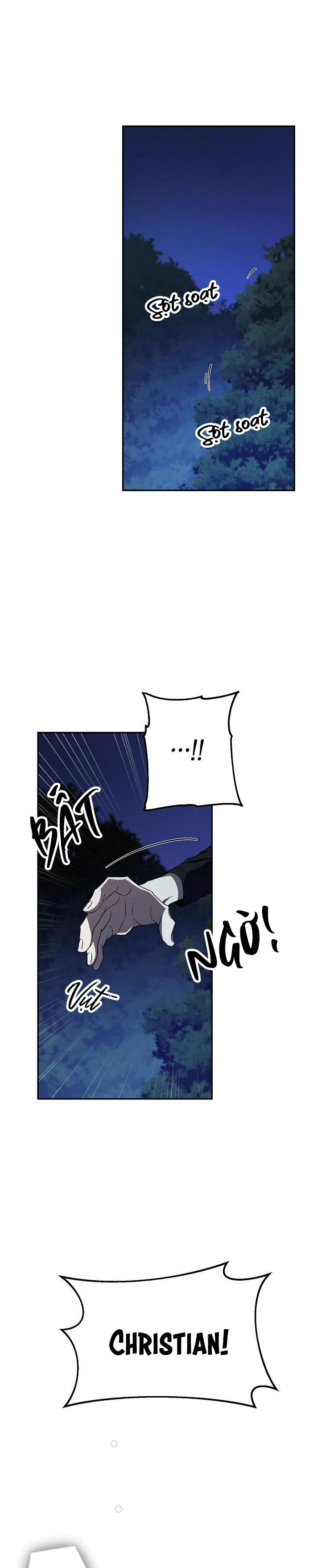 hai đất nước, đất nước của nô lệ chapter 25 10