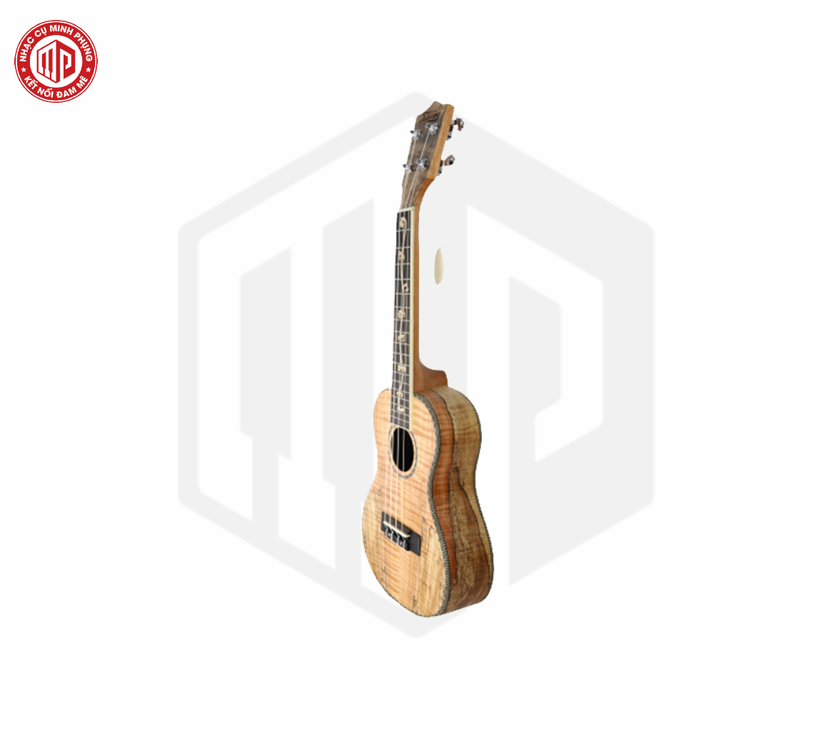 Đàn Ukulele cao cấp Takahama TK-24I - Hàng chính hãng