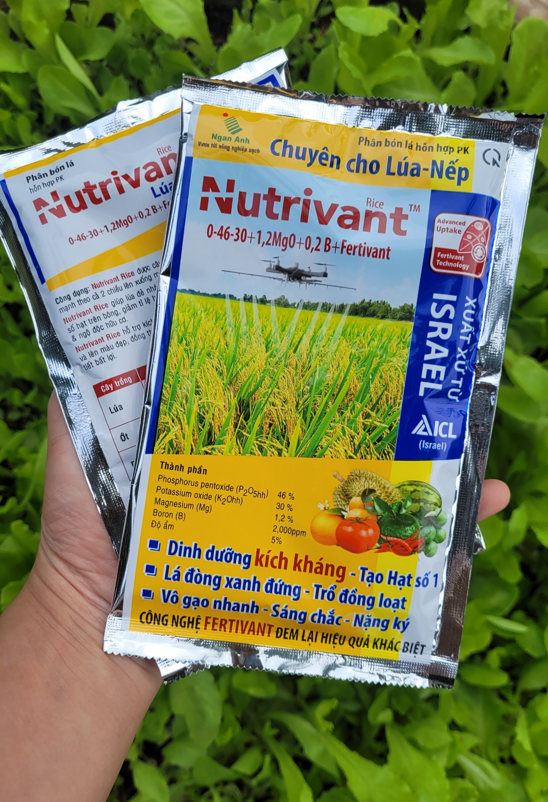 Phân bón lá NUTRIVANT 0-46-30 gói 70 g dinh dưỡng kích kháng, dưỡng xanh lá đòng, vô gạo nhanh, hạt sáng chắc