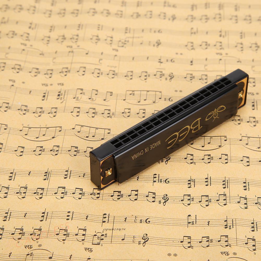 Kèn Harmonica 16 Lỗ Cho Người Mới Bắt Đầu