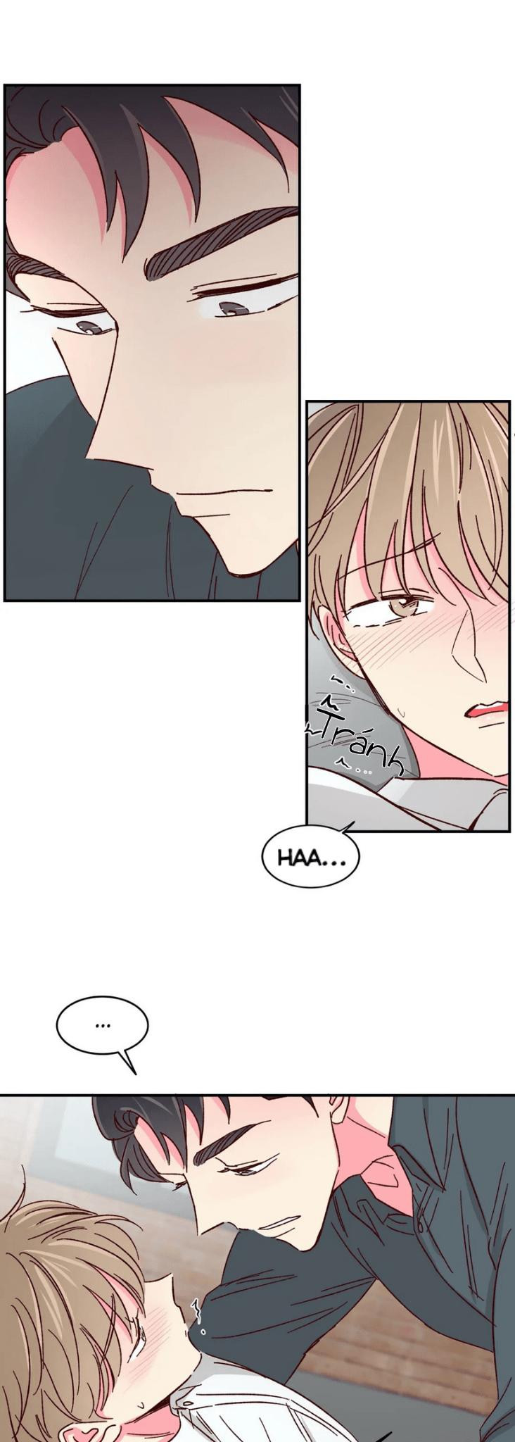 món tráng miệng của sếp tổng chapter 40 6