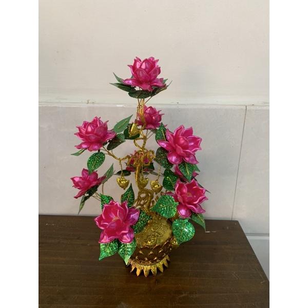 Chậu hoa sen cao 35cm