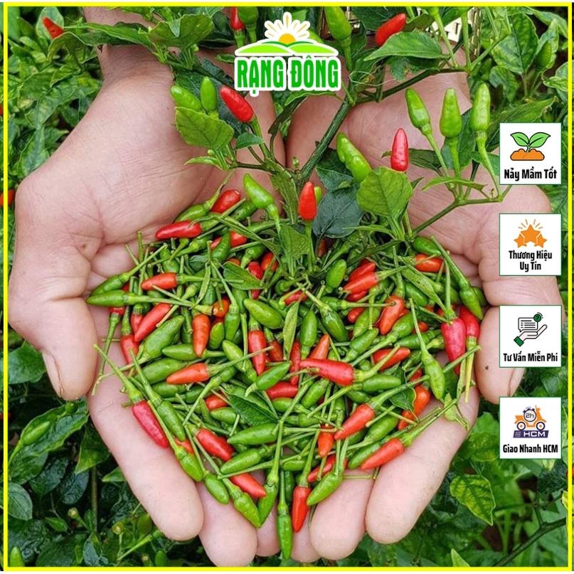 Hạt giống Ớt Xiêmrạng , Trồng Quanh Năm, Chịu Nhiệt Tốt, Trái Sai - Hạt Giống Rạng Đông