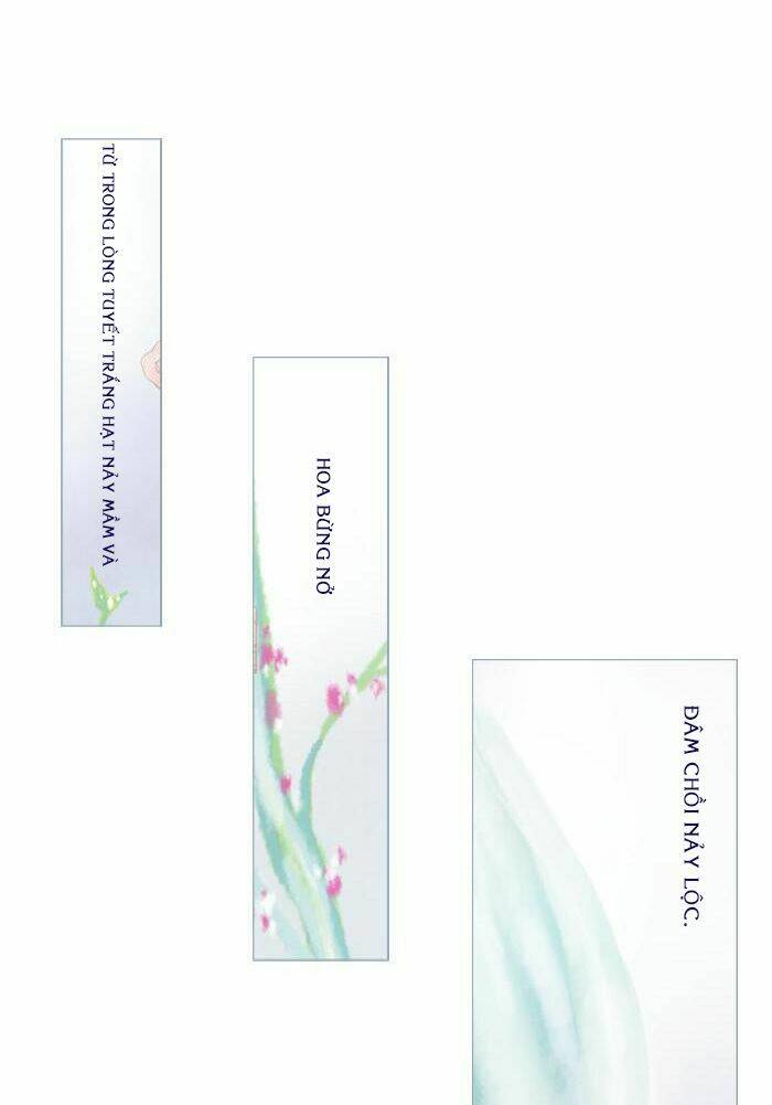 rừng đông ss2 chapter 0 8