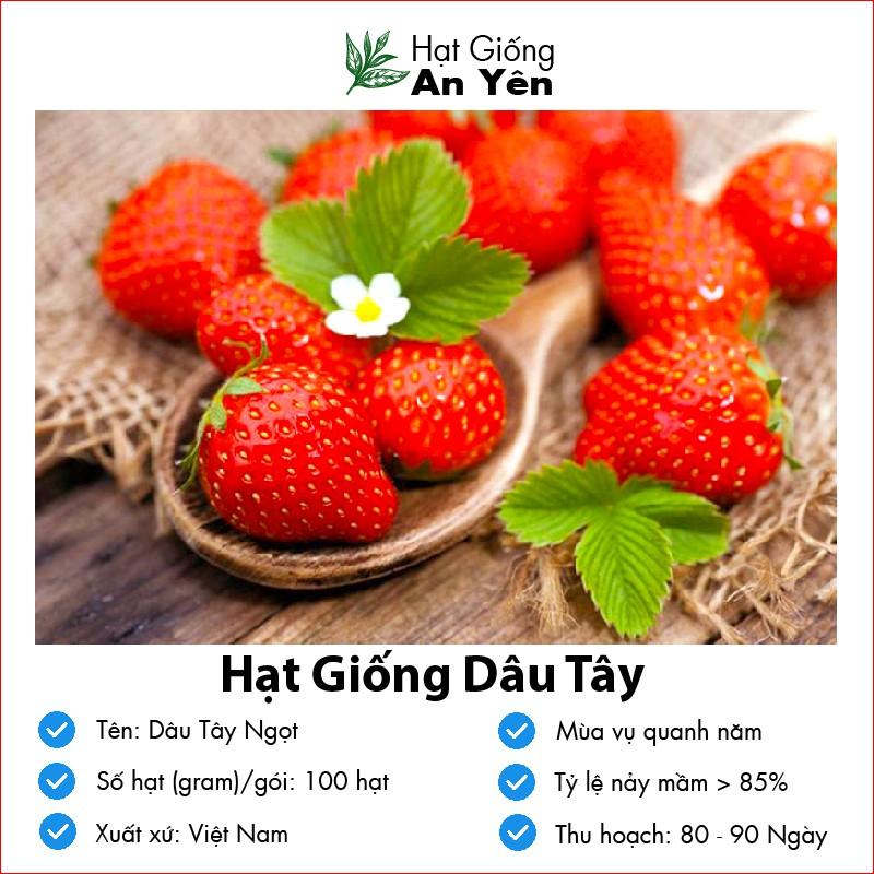 Hạt giống Dâu Tây Ngọt thu hoạch sớm, dễ trồng, nảy mầm cao, sinh trưởng khoẻ