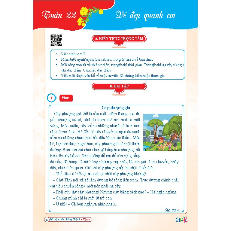 Combo Bộ Sách Lớp 2 - Chương Trình Kết Nối Tri Thức Theo Chuẩn Bộ Giáo Dục