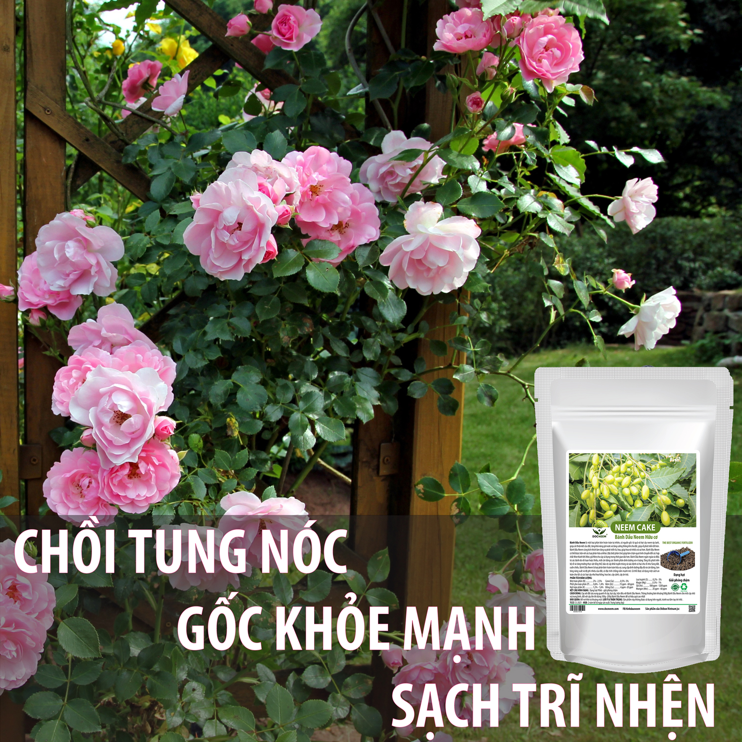 Neem Cake , Phân bón hữu cơ dưỡng mầm lá tốt nhất cho hoa hồng, hoa lan,Trị và phòng ngừa bệnh tuyến rễ như nấm rễ, sùng đất, cuốn chiếu, ốc sên, tuyến trùng