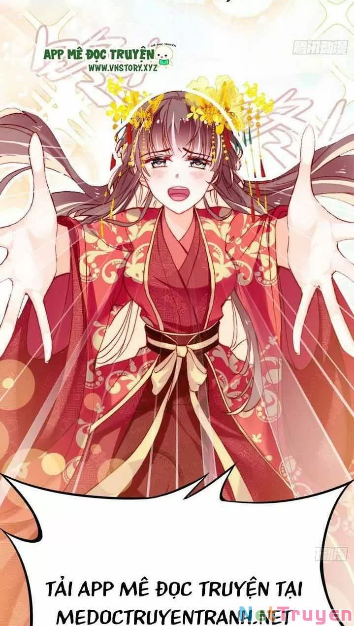 lại bị bệnh chiều chuộng quấn lấy chapter 4 57