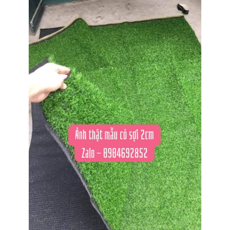 Combo 20 mét vuông thảm cỏ nhân tạo 2 cm