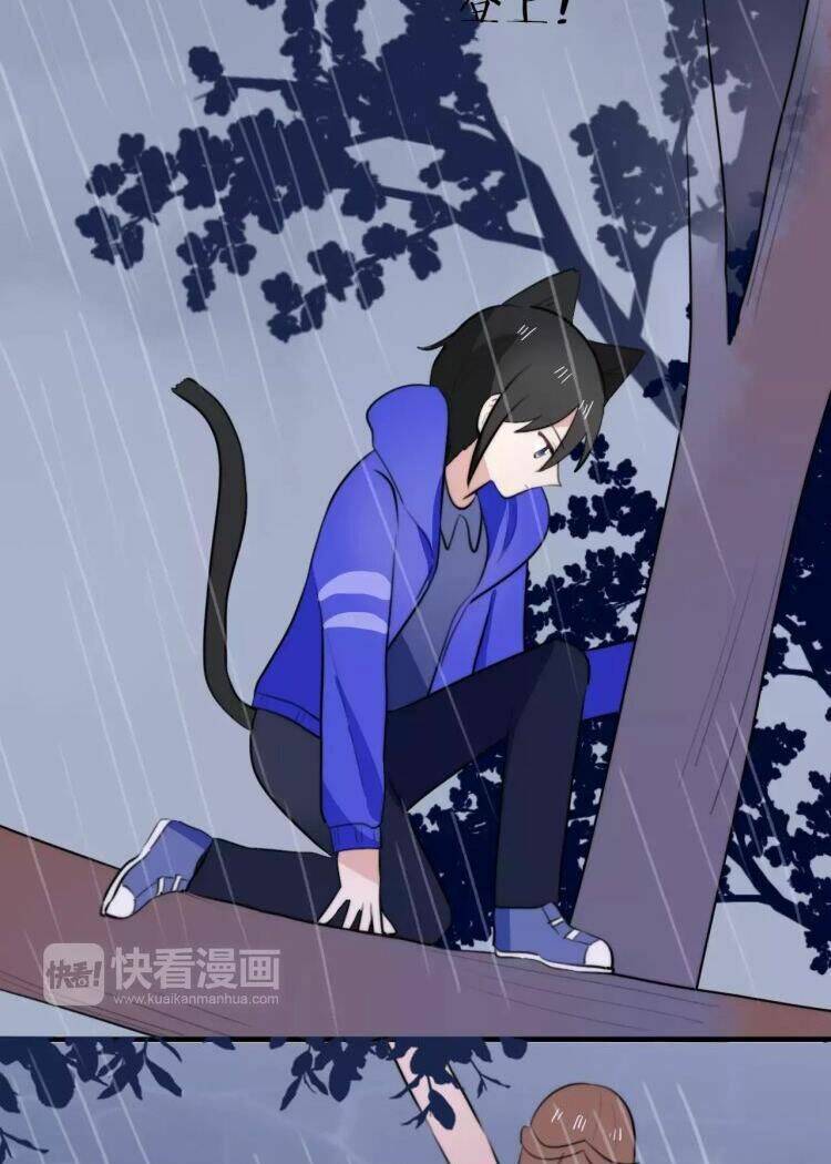 tiểu miêu và hắc diệu thạch chapter 14 10