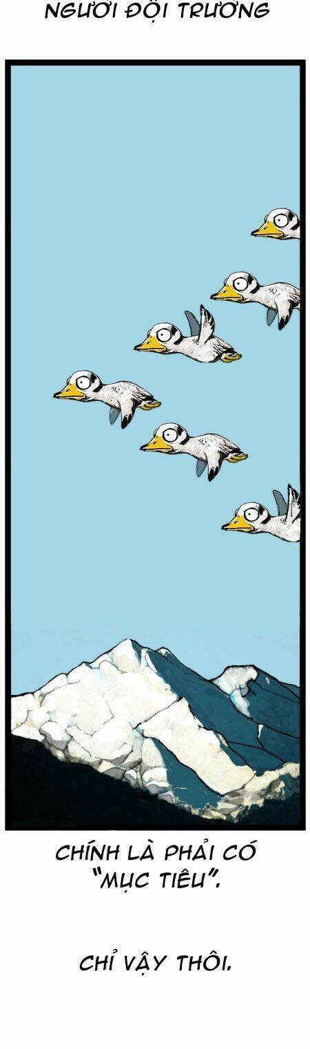 earth, human, and animal chapter 18 21