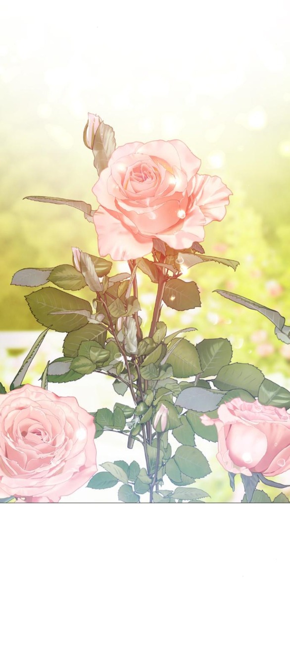 khóc đi hay là cầu xin tôi cũng được chapter 37.1 33