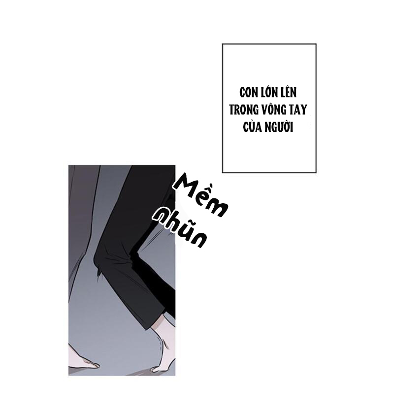 the wing chapter 5 39