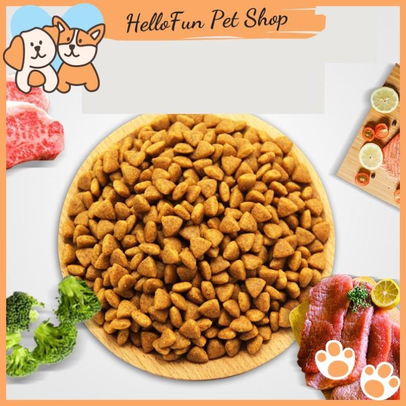 Thức ăn hạt Masti bổ sung dinh dưỡng cho mèo