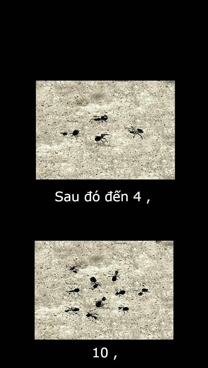 đôi mắt từ trái tim chapter 18 30