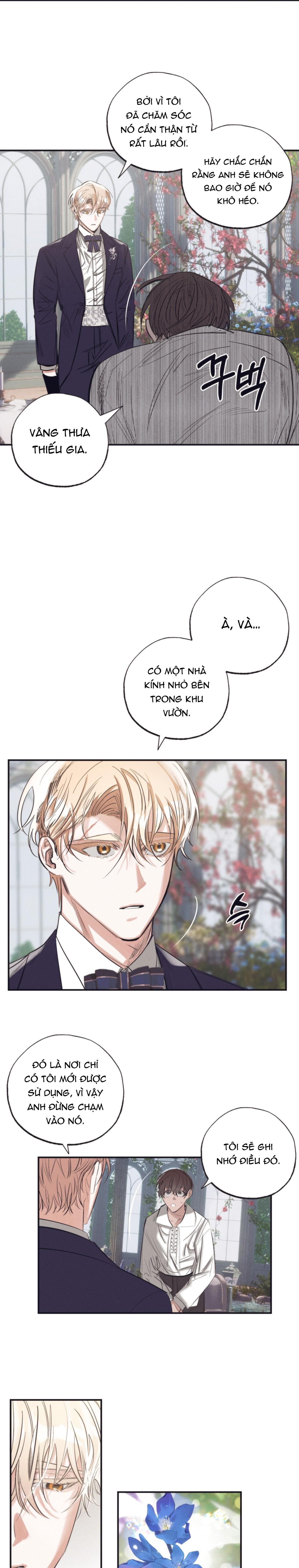 vườn địa đàng của esther chapter 2 11