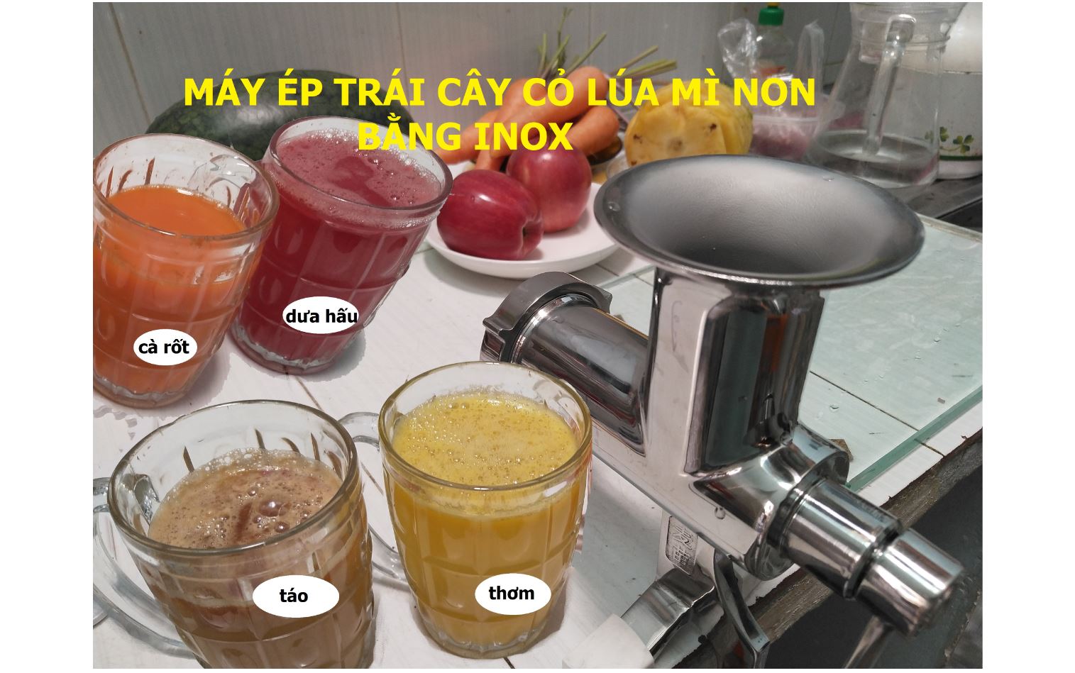 Máy ép trái cây – cỏ lúa mì bằng tay chất liệu inox Manual Wheet Grass Juicer