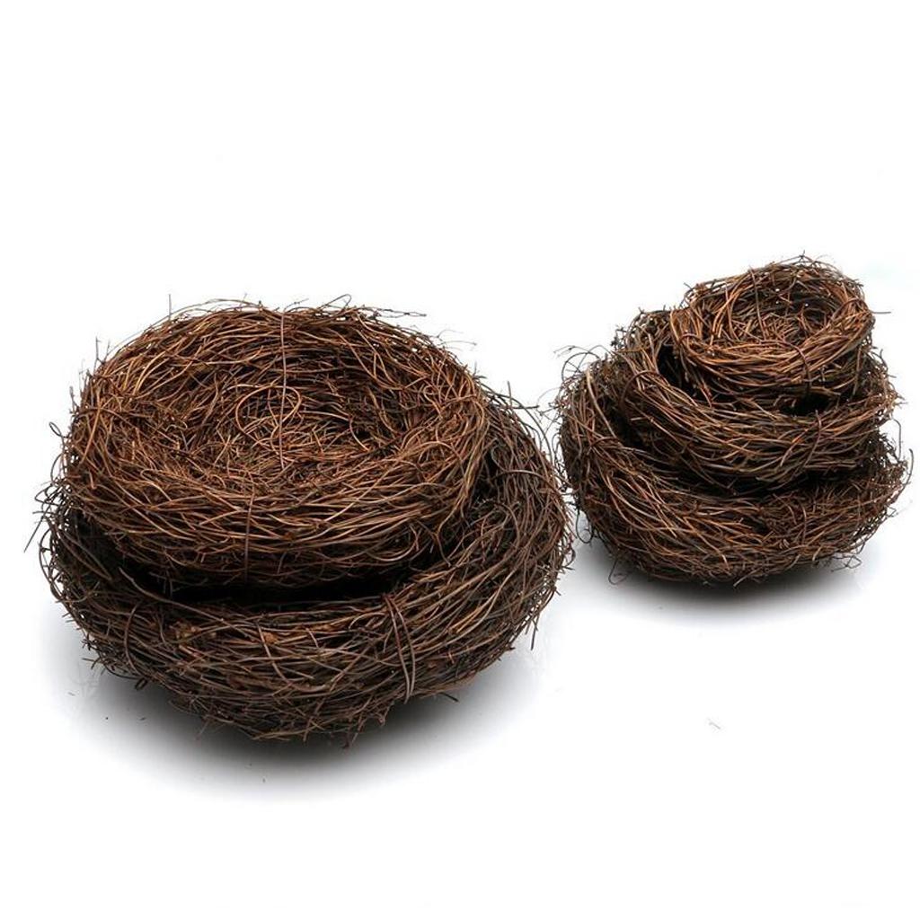 Tổ Chim Thủ Công Dùng Làm Phụ Kiện Chụp Ảnh Độc Đáo