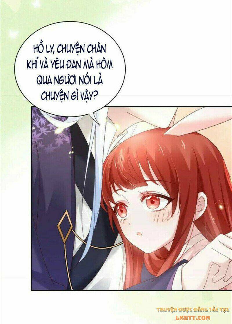 hắc hóa nam chính trực tuyến nuôi thỏ chapter 60 8