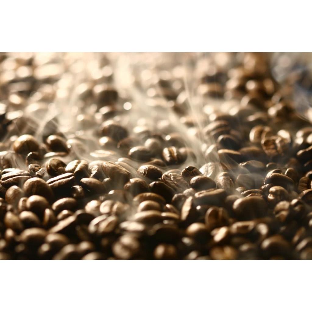 Robusta Honey - Cà phê chất lượng cao, hương thơm ngọt ngào - Cà phê pha phin/ pha máy |500gr|