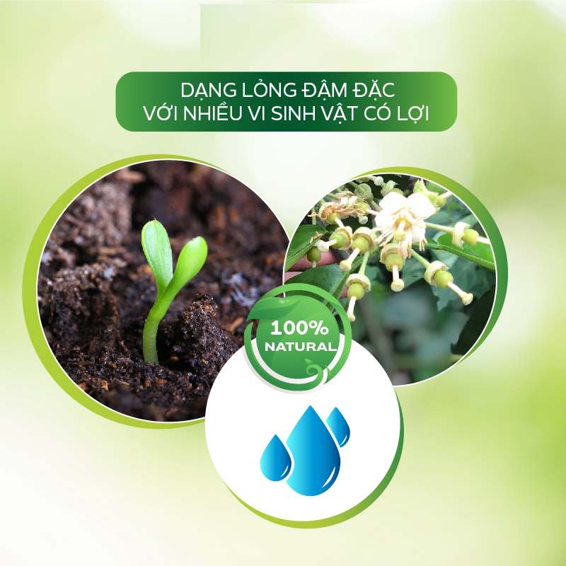 Phân Bón Hữu Cơ AT Siêu Kali Sầu Riêng 500ml Kích Ra Hoa Đều, Tăng Đậu Trái, Chất Lượng Ngon, Mã Đẹp, Tăng Năng Suất