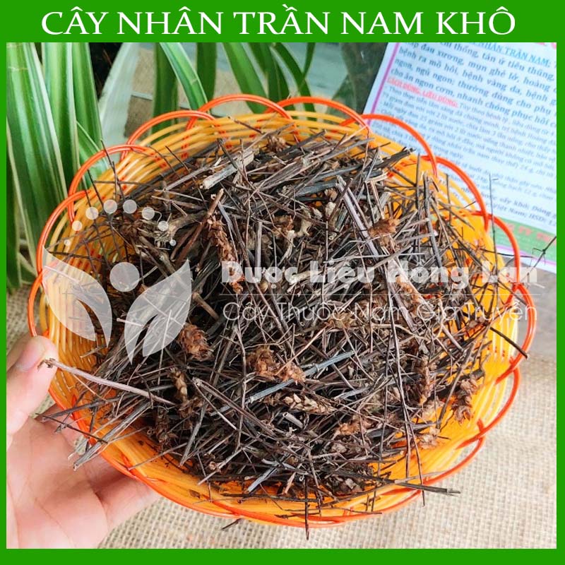 Cây Nhân Trần Nam khô 1kg