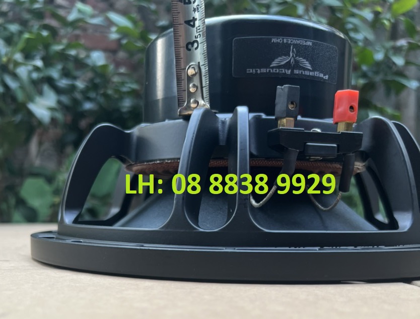 CẶP CỦ LOA BASS 25 PEGASUS TỪ NEO KHỐI COIL 76 TỪ 120 TIẾNG SÁNG CAO CẤP HÀNG NHẬP KHẨU - GIÁ 2 LOA