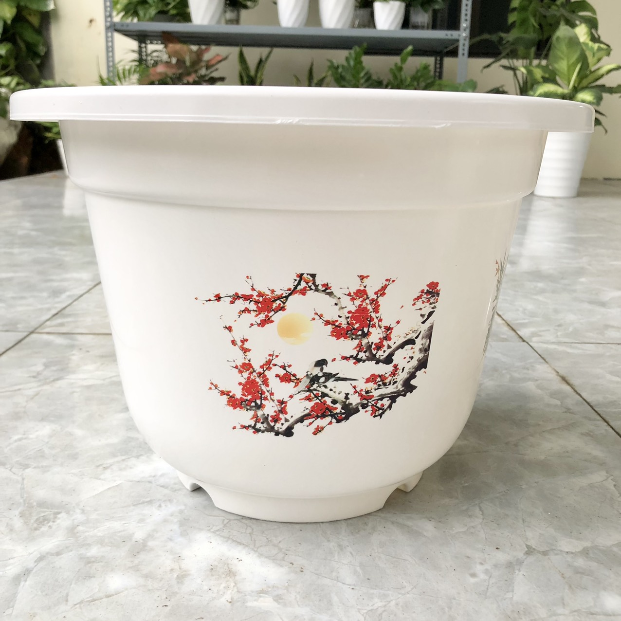Chậu nhựa trồng cây Hoa văn bốn mùa , chậu trồng cây chất lượng cao, chậu hoa cây cảnh mini, để bàn, treo ban công, treo tường, Hàng Việt Nam Chất Lượng Cao