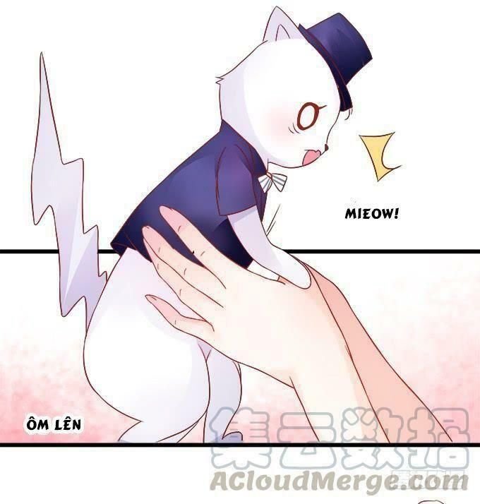 hồ tiên hung bạo chapter 13 61