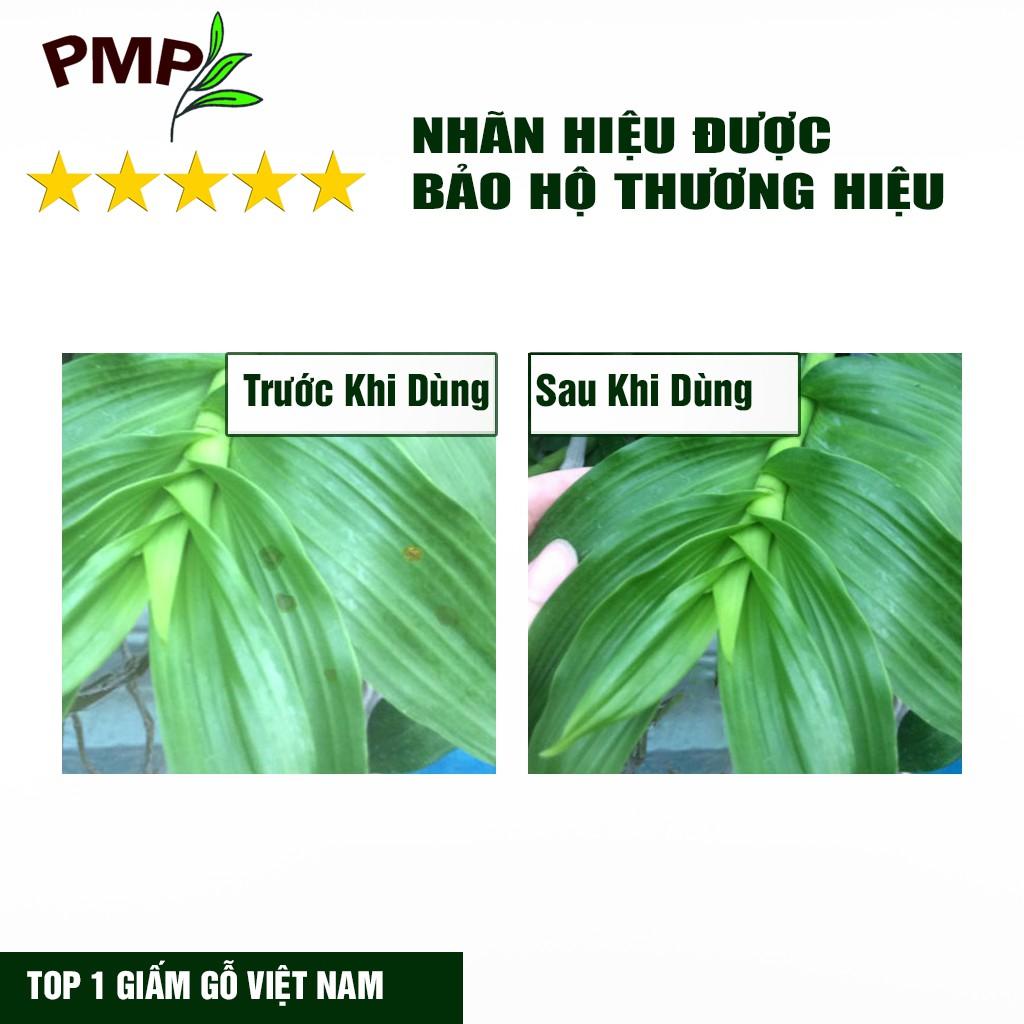 Giấm Gỗ Sinh Học APY PMP Kháng Đốm Lá, Đốm Đen, Vàng Lá, Phấn Trắng Cho Hoa Hồng, Rau Sạch, Lan, Cây Cảnh 100ml