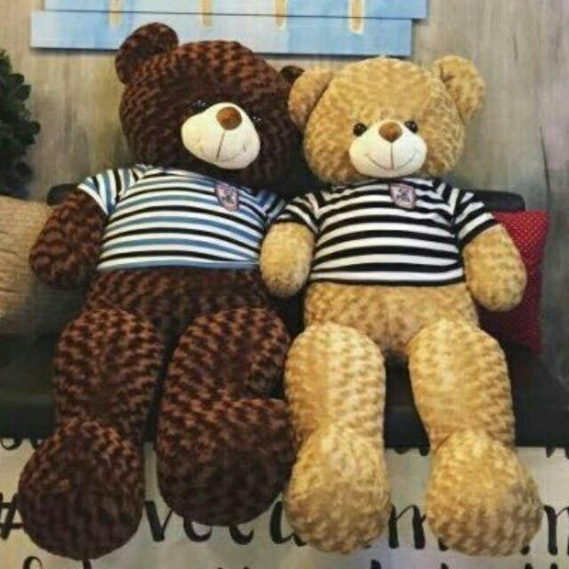 Gấu bông teddy khổ 1m2 cao 1m hàng vnxk siêu đẹp