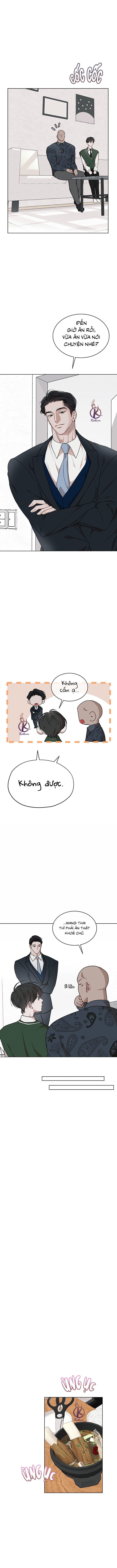 hình thái khởi sinh chapter 74 11