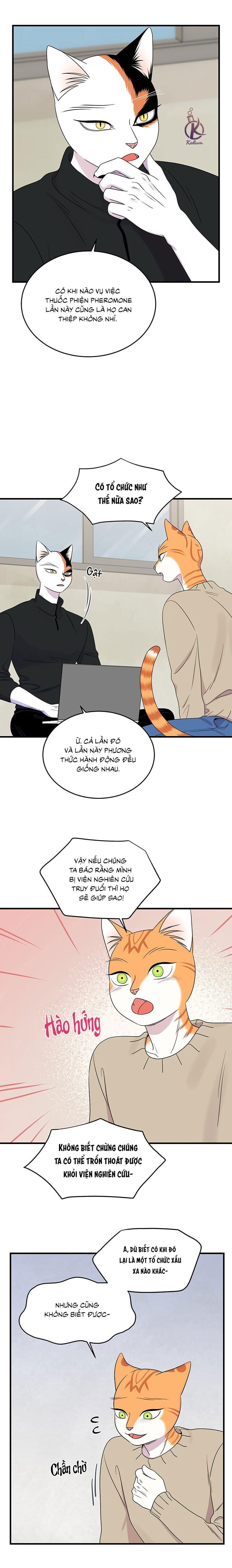 dự án xanh chapter 54 8