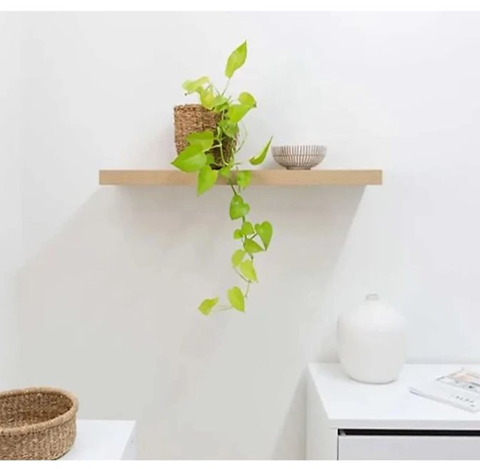 Kệ Thanh Ngang Treo Tường Vân Gỗ Sồi Gỗ Dày Nhiều Kích Thước Tundo CTKT005 KT 120x20x2.5cm