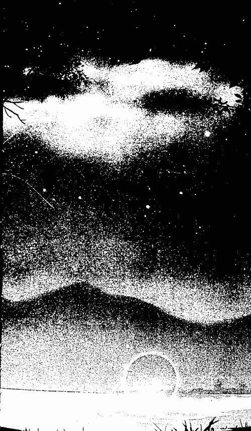 chuyện tình đảo thiên đường chapter 10 4