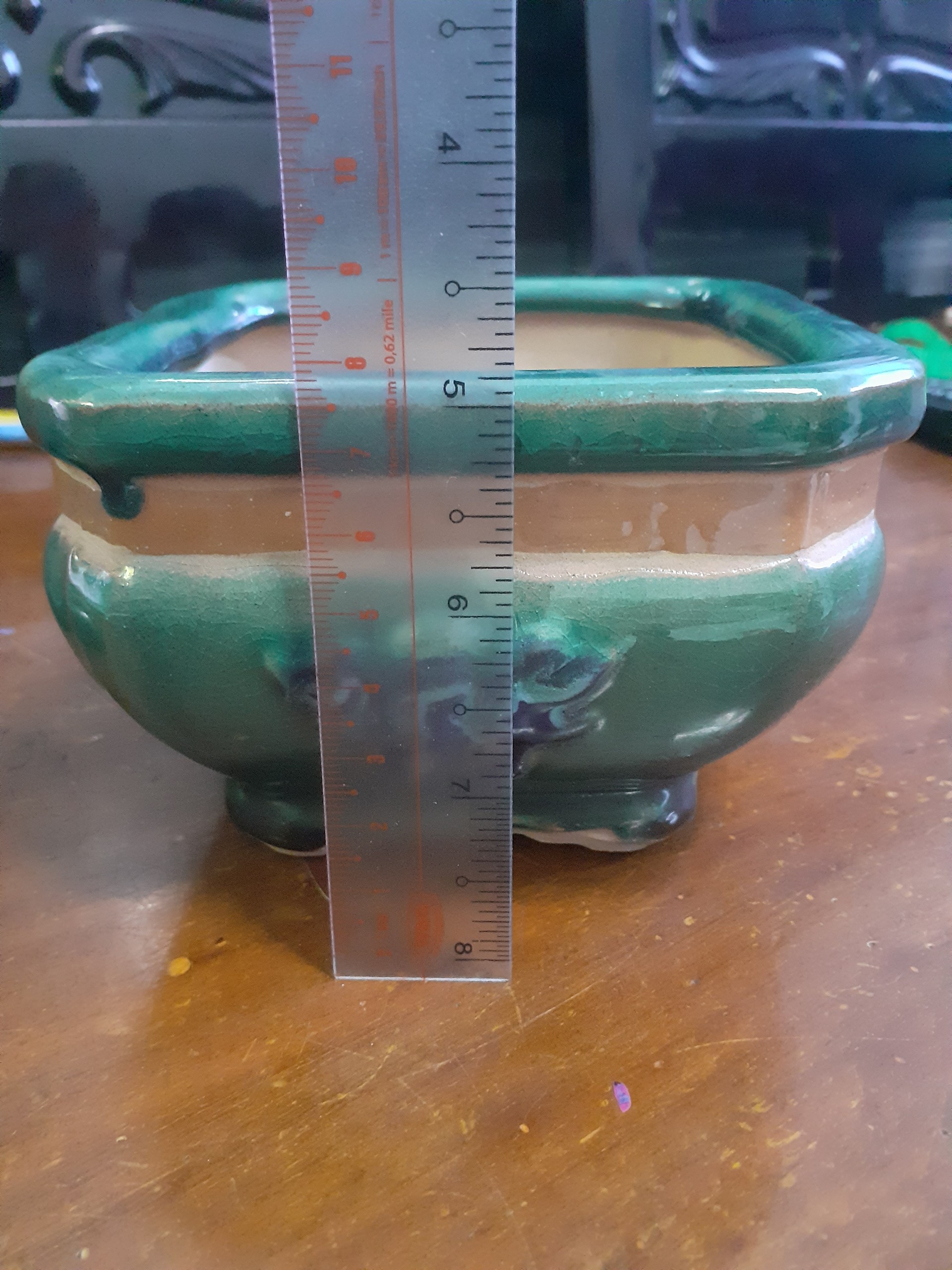 Chậu Bonsai mini màu ngọc bích vua sư tử