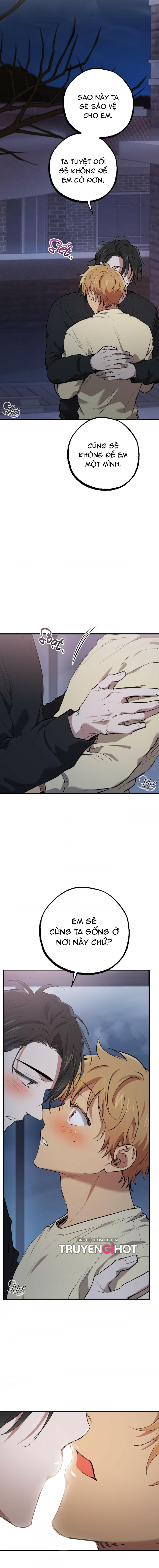 những chú thỏ của hapypy chapter 37.5 8