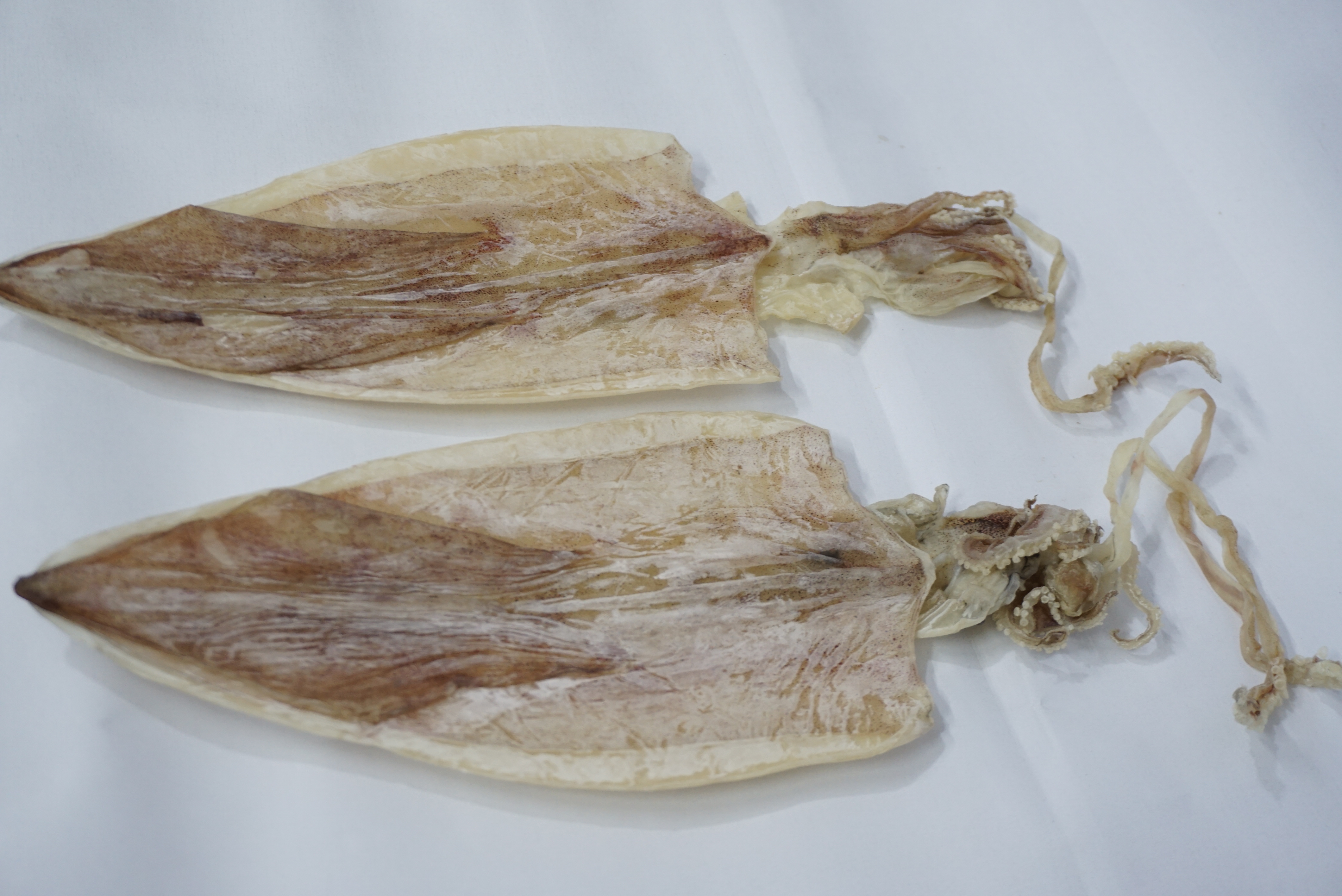 Đặc Sản Nha Trang - Mực Khô Câu Size 30 Con/Kg Seavy Gói 500G