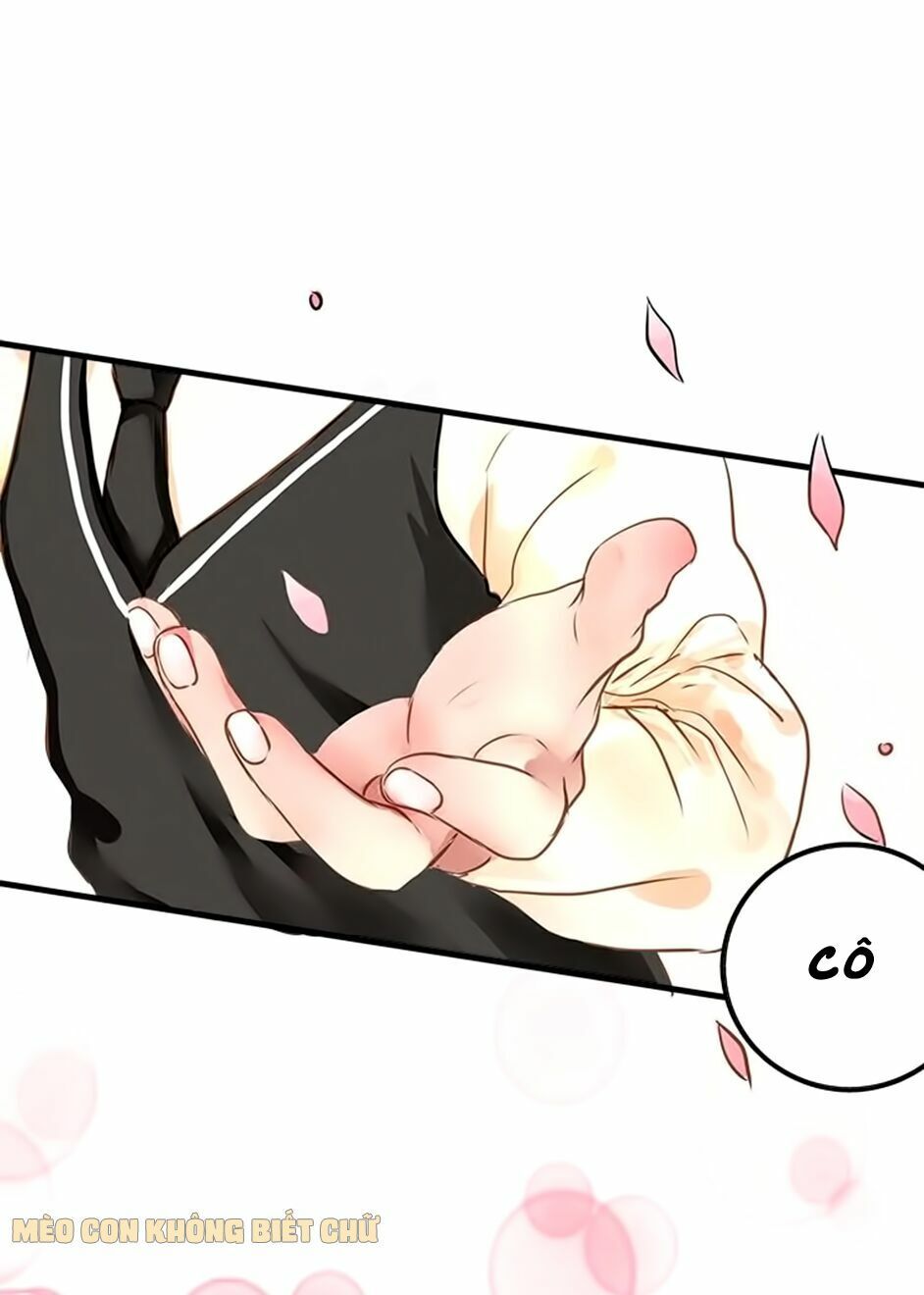 không có ssr làm sao để yêu chapter 3 29