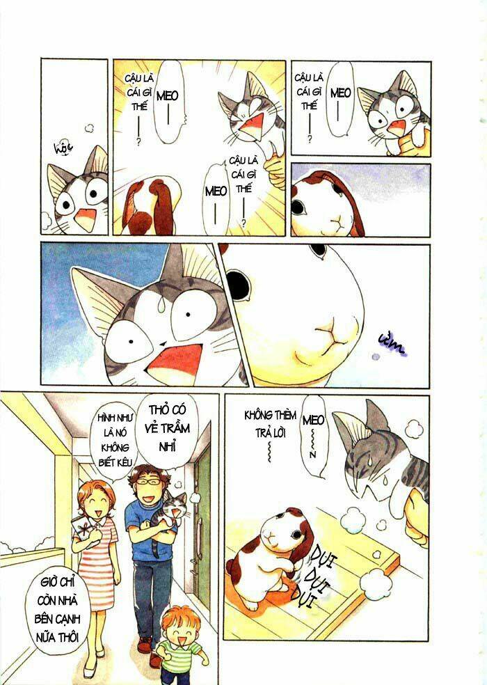 chi's sweet home chapter 63 8