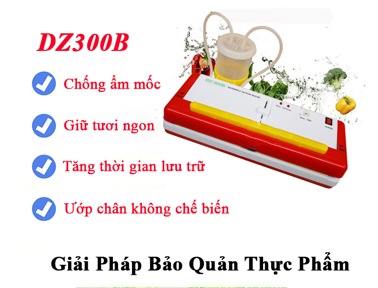 Máy hút chân không DZ300B không kén túi, hút khô và hút ướt, đồ dầu mỡ Hàng Chính Hãng