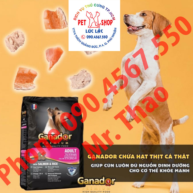 Combo 5 thức ăn cho chó trưởng thành Ganador vị cá hồi & gạo Salmon & Rice 400 gram
