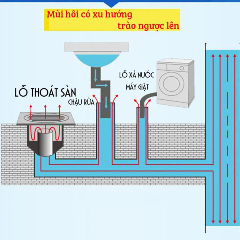 Ống Chặn Mùi Hôi Cống Phễu Thoát Sàn Chống Hôi Thoát Nước Chắn Côn Trùng Hiệu Quả-K1726