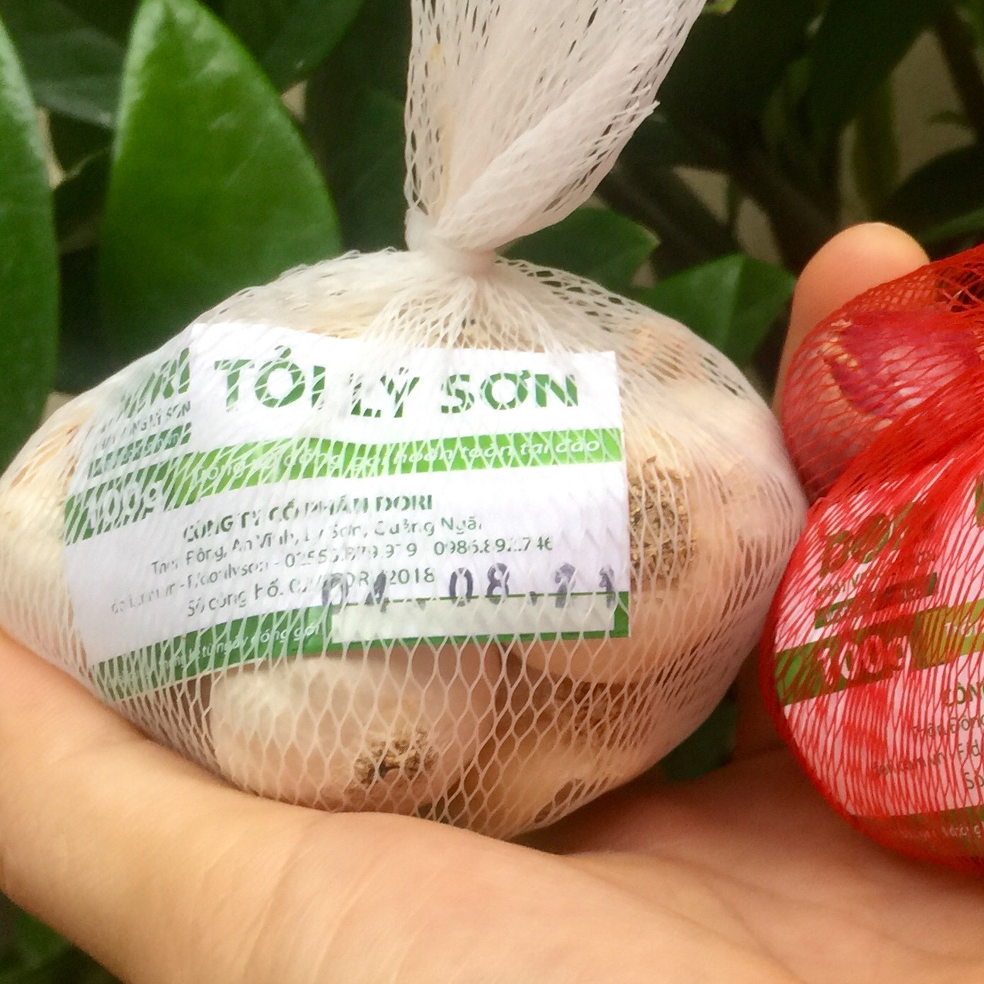Đặc Sản Quảng Ngãi - Tỏi Lý Sơn Dori - Loại tỏi nhiều tép - Trồng tại đảo Lý Sơn